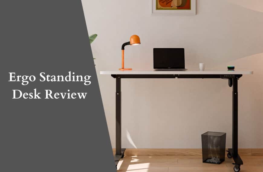 ergo standing desk review