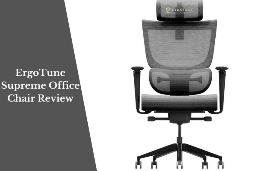 ErgoTune Supreme Office Chair Review